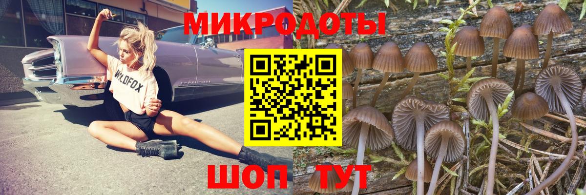 Галлюциногенные грибы Psilocybine cubensis  Галлюциногенные грибы Psilocybine cubensis  Рыбинск  сколько стоит  Вход с VPN 